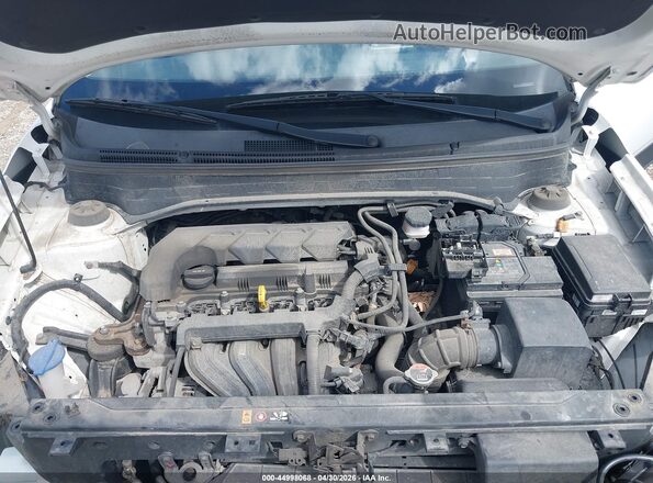 KMHRC8A38LU013982 2020 HYUNDAI VENUE White Widok z tyłu