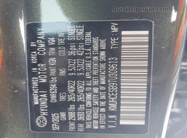 KMUHCESB9TU309613 2026 GENESIS GV80 Black VIN კოდის სტიკერის ხედი