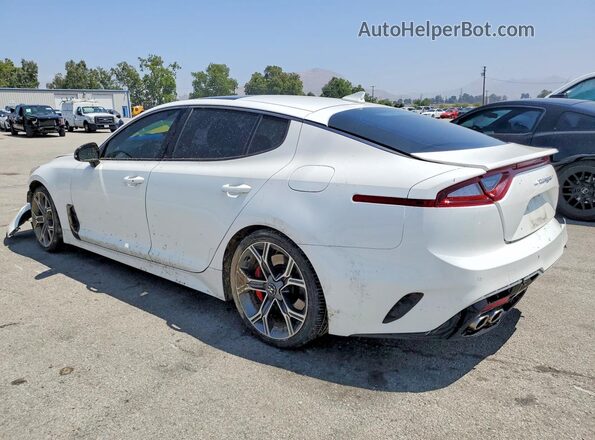 KNAE55LC7L6073696 2020 KIA STINGER White Tył lewy