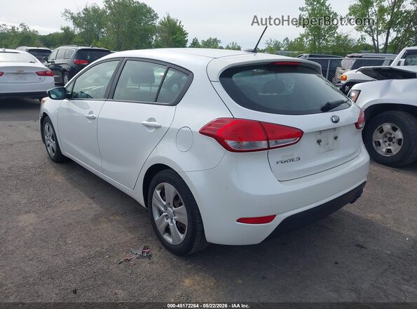 KNAFK5A81G5591875 2016 KIA FORTE White Rear left