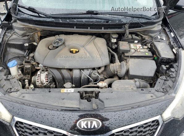 KNAFX4A60G5589691 2016 KIA FORTE Black Widok wnętrza z tyłu