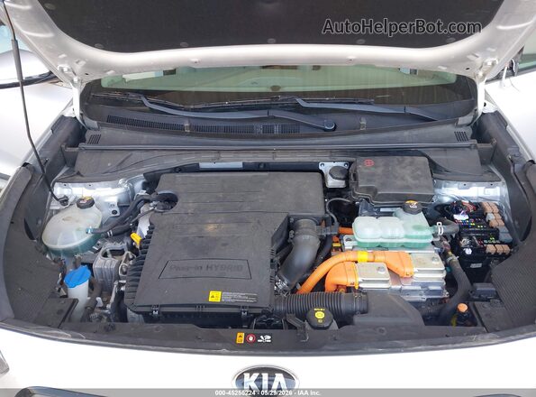 KNDCC3LD2K5267120 2019 KIA NIRO PLUG-IN HYBRID Silver Вид ззаду