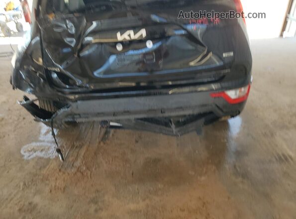 KNDCP3LE0T5342606 2026 KIA NIRO Угольный 