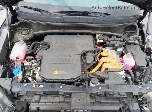 KNDCP3LE2S5234986 2025 KIA NIRO Black Вид ззаду