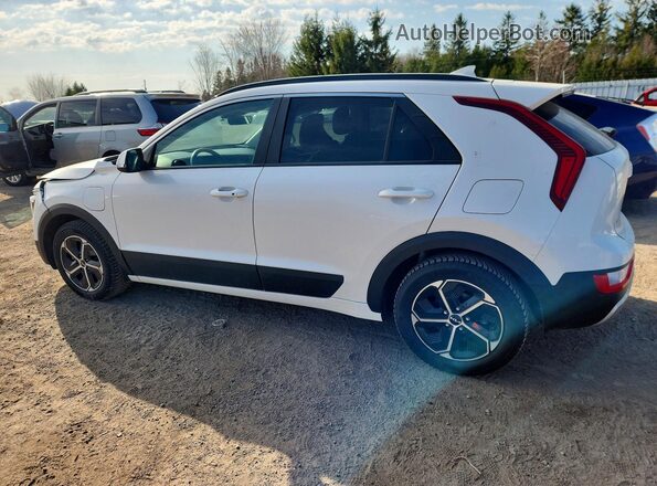 KNDCS3LF6R5202561 2024 KIA NIRO Белый 