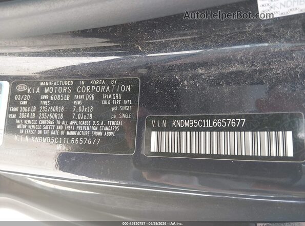 KNDMB5C11L6657677 2020 KIA SEDONA Blue Widok komory silnika