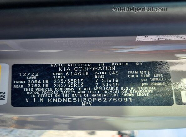 KNDNE5H30P6276091 2023 KIA CARNIVAL Серый Панорамный вид салона 360°