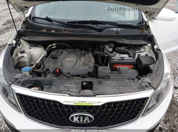 KNDPB3AC4G7830064 2016 KIA SPORTAGE White უკანა ხედი