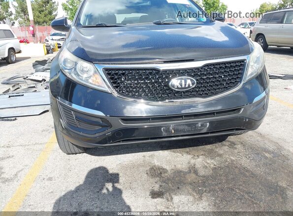 KNDPB3AC6G7795902 2016 KIA SPORTAGE Black Widok z przodu