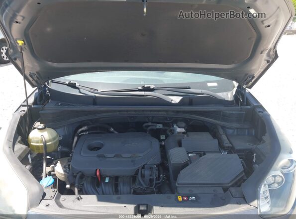 KNDPM3AC2K7621635 2019 KIA SPORTAGE Бирюзовый Вид сзади