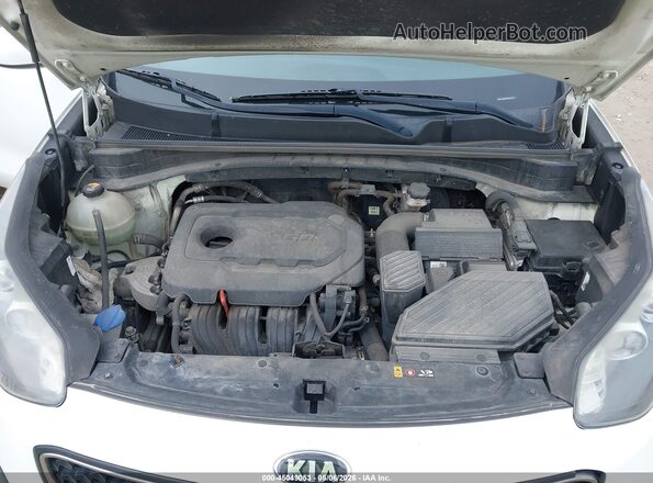 KNDPM3AC3K7507272 2019 KIA SPORTAGE White Հետևի տեսք