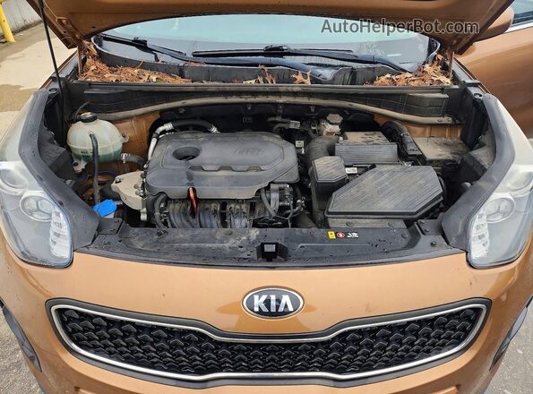 KNDPM3AC4K7593949 2019 KIA SPORTAGE Gold Вид підкапотного простору