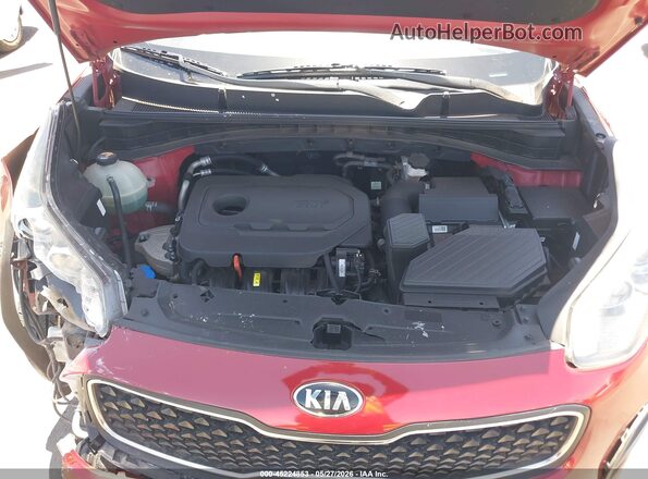 KNDPM3AC6H7243831 2017 KIA SPORTAGE Красный Вид сзади