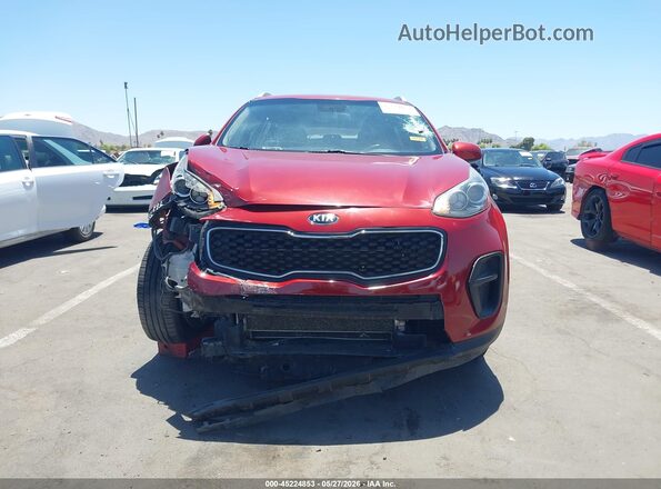 KNDPM3AC6H7243831 2017 KIA SPORTAGE Красный Вид задней части салона