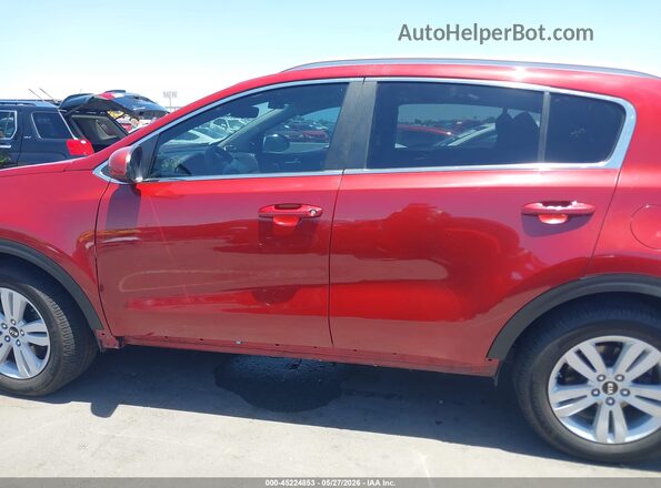 KNDPM3AC6H7243831 2017 KIA SPORTAGE Красный 