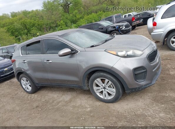 KNDPM3AC9K7528935 2019 KIA SPORTAGE Gray Սալոնի հետևի տեսք