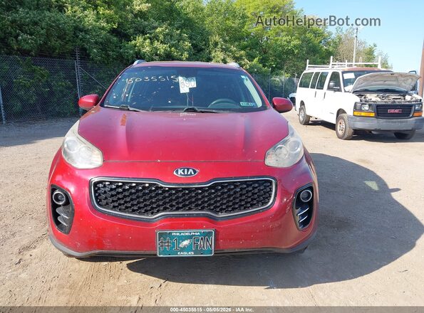 KNDPMCAC0H7033550 2017 KIA SPORTAGE Красный Вид задней части салона