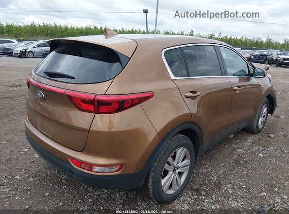 KNDPMCAC1K7616524 2019 KIA SPORTAGE Orange Rear right