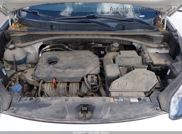 KNDPMCAC1L7645149 2020 KIA SPORTAGE White Rear view