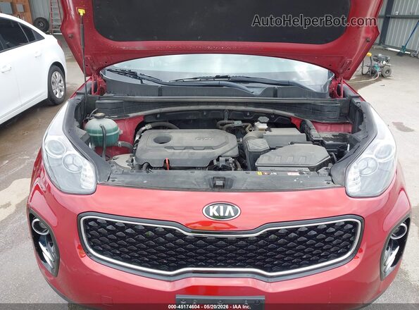 KNDPMCAC8K7582842 2019 KIA SPORTAGE Red Հետևի տեսք
