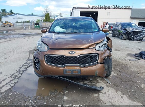 KNDPMCAC9H7113879 2017 KIA SPORTAGE Коричневый Вид задней части салона