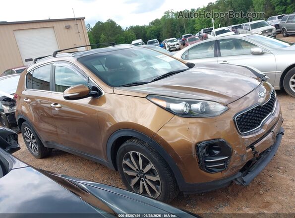 KNDPN3AC0H7032847 2017 KIA SPORTAGE Brown Widok wnętrza z tyłu