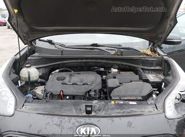 KNDPNCAC9L7804111 2020 KIA SPORTAGE Черный Вид сзади