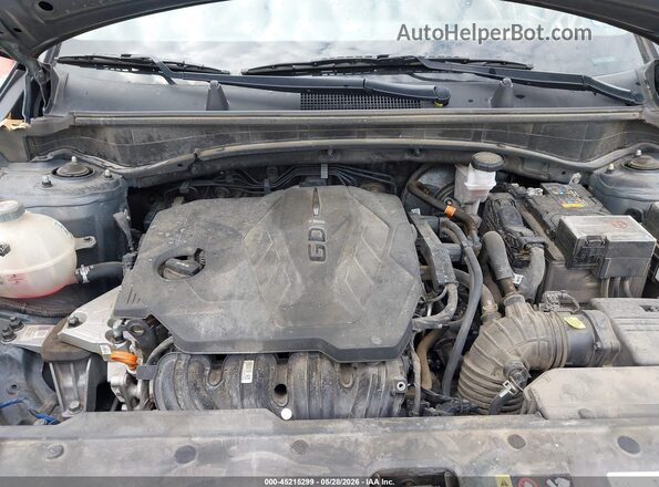 KNDPU3DF6R7217706 2024 KIA SPORTAGE Green Widok z tyłu
