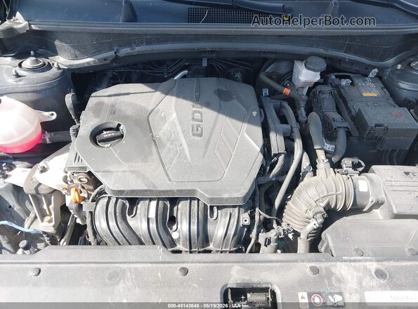 KNDPUCAF2P7206025 2023 KIA SPORTAGE Black Widok z tyłu