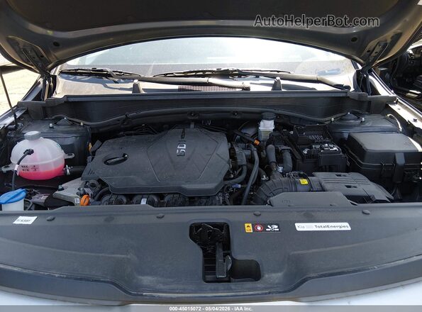 KNDPUCDF6R7258417 2024 KIA SPORTAGE Black Vista trasera