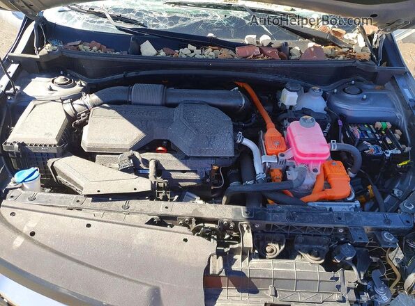 KNDPUCDG2S7258185 2025 KIA SPORTAGE Gray 