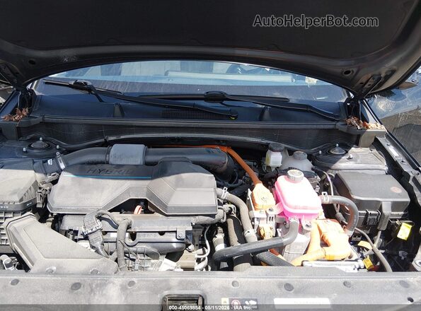 KNDPVCAG5P7056871 2023 KIA SPORTAGE HYBRID Black Vista trasera