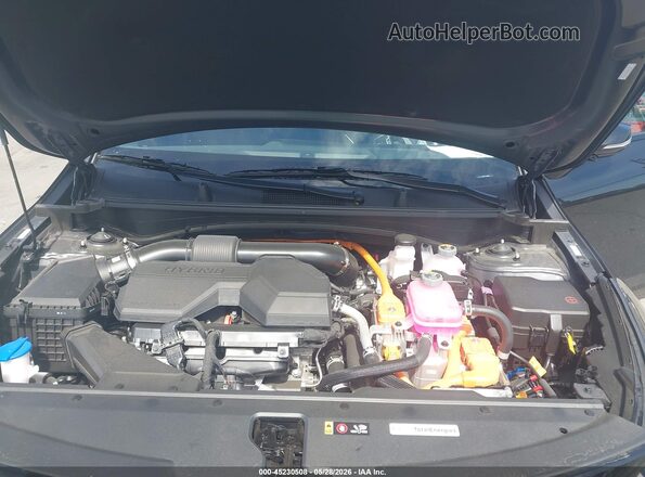 KNDPVDDG8T7294984 2026 KIA SPORTAGE HYBRID Белый Вид сзади