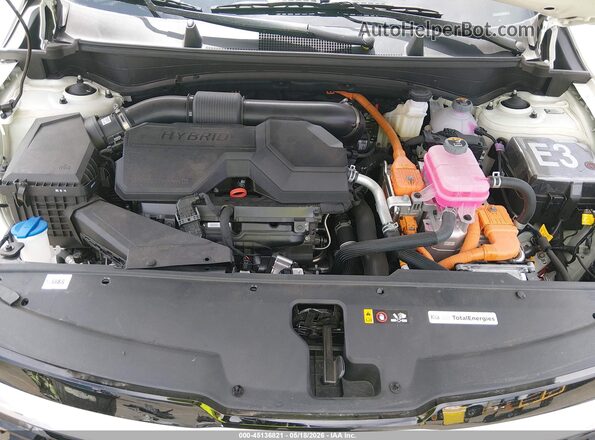 KNDPXDDG3T7280548 2026 KIA SPORTAGE HYBRID White Widok z tyłu