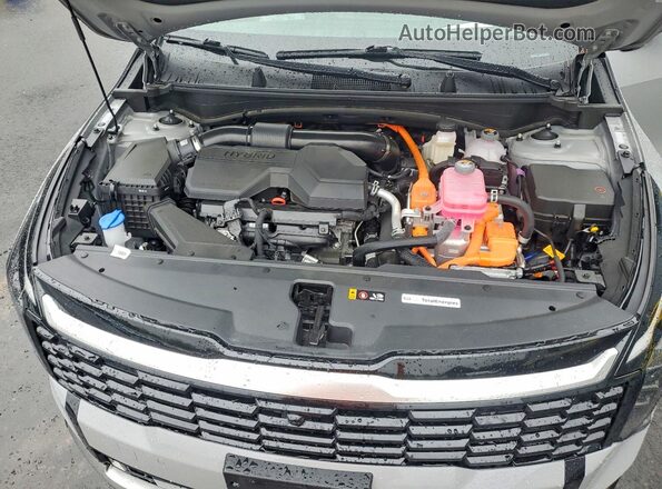 KNDPXDDG3T7280775 2026 KIA SPORTAGE Silver Սալոնի հետևի տեսք