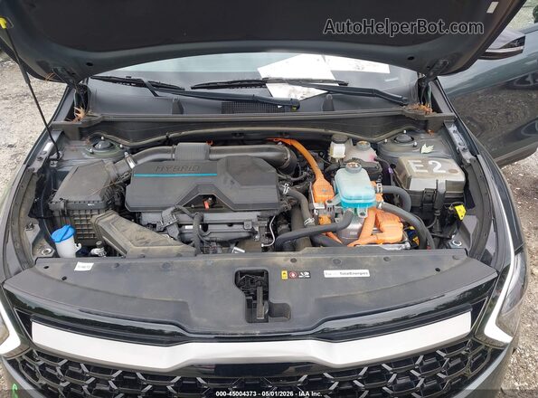 KNDPYDAHXP7089449 2023 KIA SPORTAGE PLUG-IN HYBRID Gray Rear view