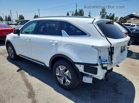 KNDRH4LG9P5216720 2023 KIA SORENTO White Tył lewy