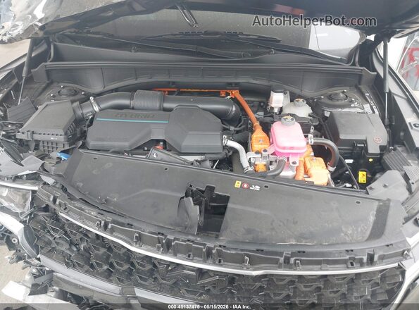 KNDRHDLG7R5259648 2024 KIA SORENTO HYBRID Black Вид ззаду