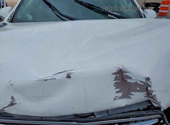 LRBFXCSA6LD157296 2020 BUICK ENVISION White Rear interior view