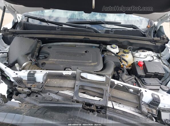 LRBFZME49RD043811 2024 BUICK ENVISION White Widok z tyłu