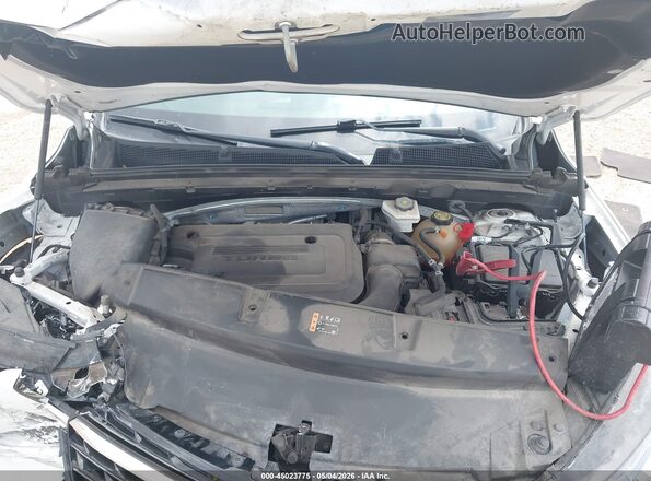 LRBFZNR43PD035880 2023 BUICK ENVISION Белый Вид сзади