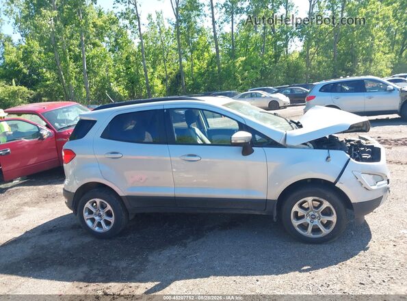 MAJ6P1UL4JC160582 2018 FORD ECOSPORT Silver Սալոնի հետևի տեսք