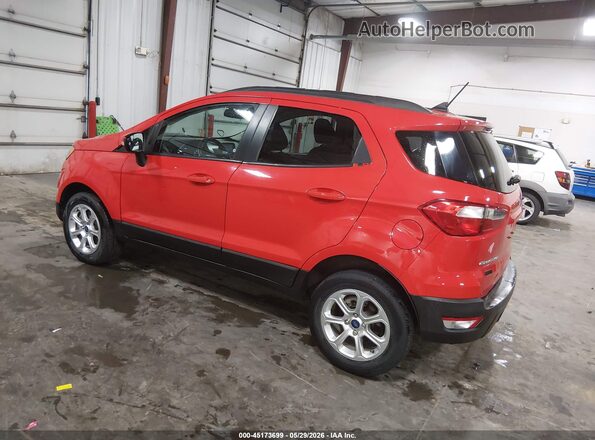 MAJ6S3GL4KC280342 2019 FORD ECOSPORT Red Задня ліва чверть