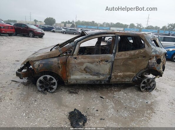 MAJ6S3GLXLC319226 2020 FORD ECOSPORT Brown Вид задньої частини салону