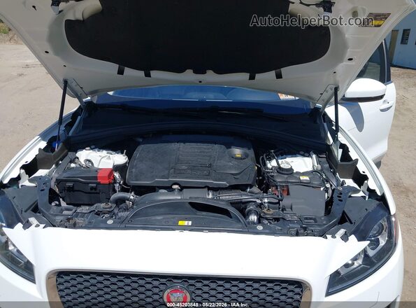 SADCK2GX1KA392865 2019 JAGUAR F-PACE Белый Вид сзади