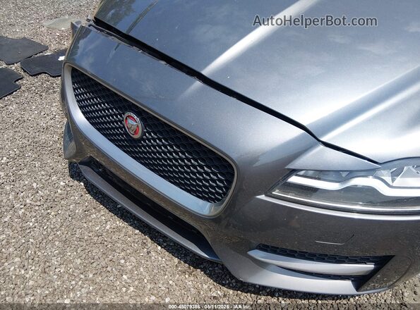 SAJBF4BV5GCY03856 2016 JAGUAR XF Gray 