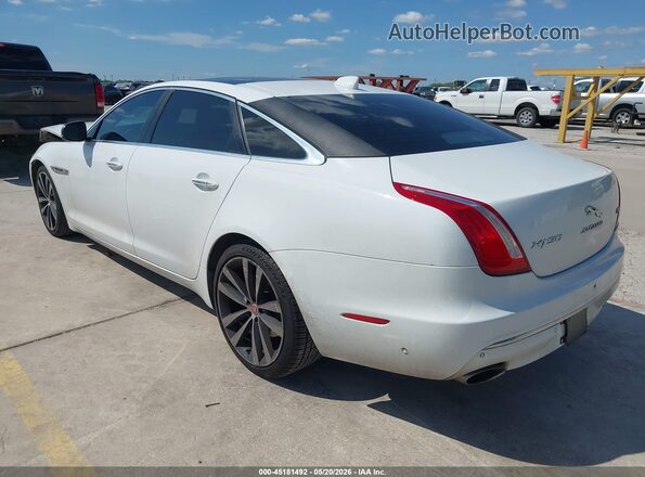 SAJWA2G70K8W19306 2019 JAGUAR XJ White Tył lewy