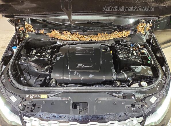 SALRJ2EX9R2490258 2024 LAND ROVER DISCOVERY Black Engine compartment view