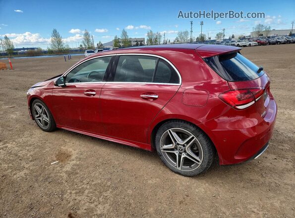 W1K3F4HB4NJ345709 2022 MERCEDES-BENZ A Red უკანა მარცხენა