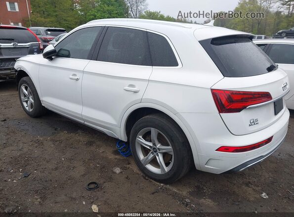 WA1AAAFY0M2021651 2021 AUDI Q5 Белый Задняя левая четверть